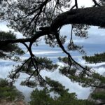 松下雲海遠
