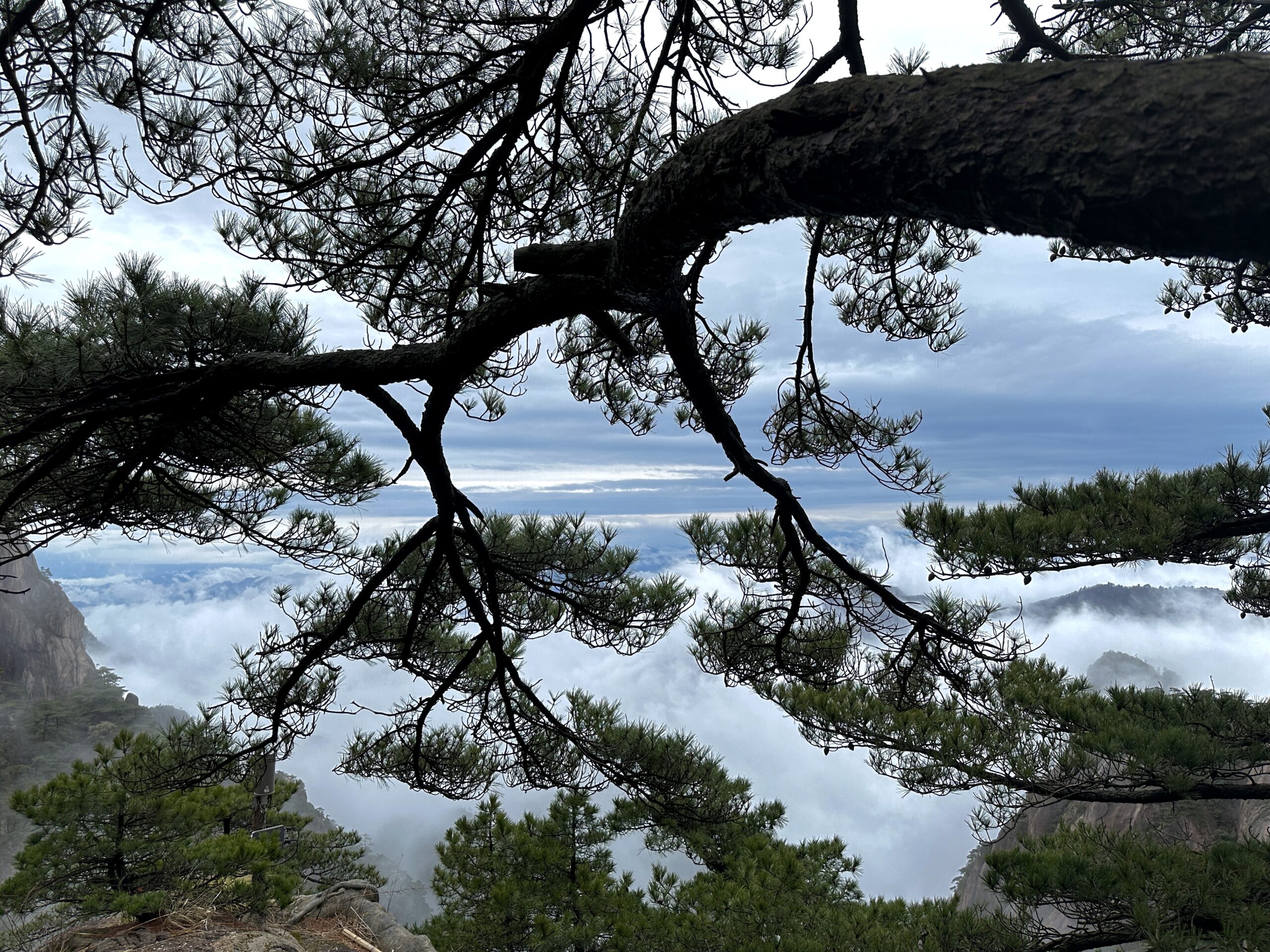 松下雲海遠