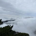 雲海淹遠巒