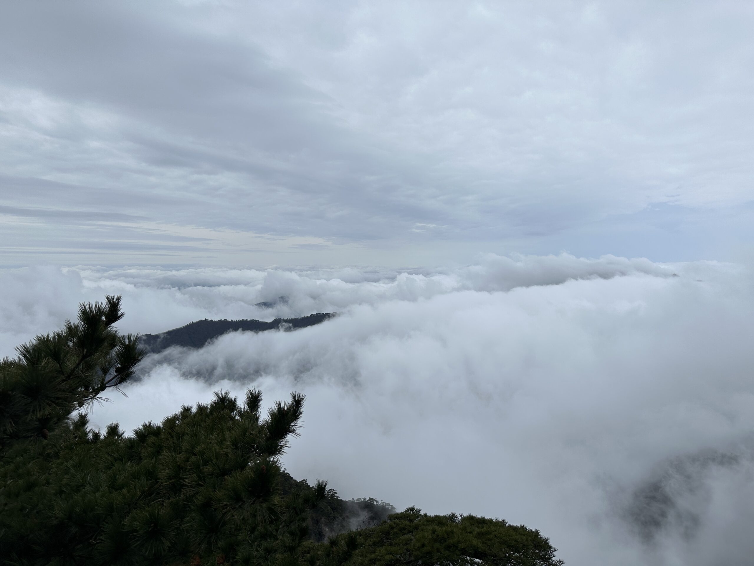 雲海淹遠巒