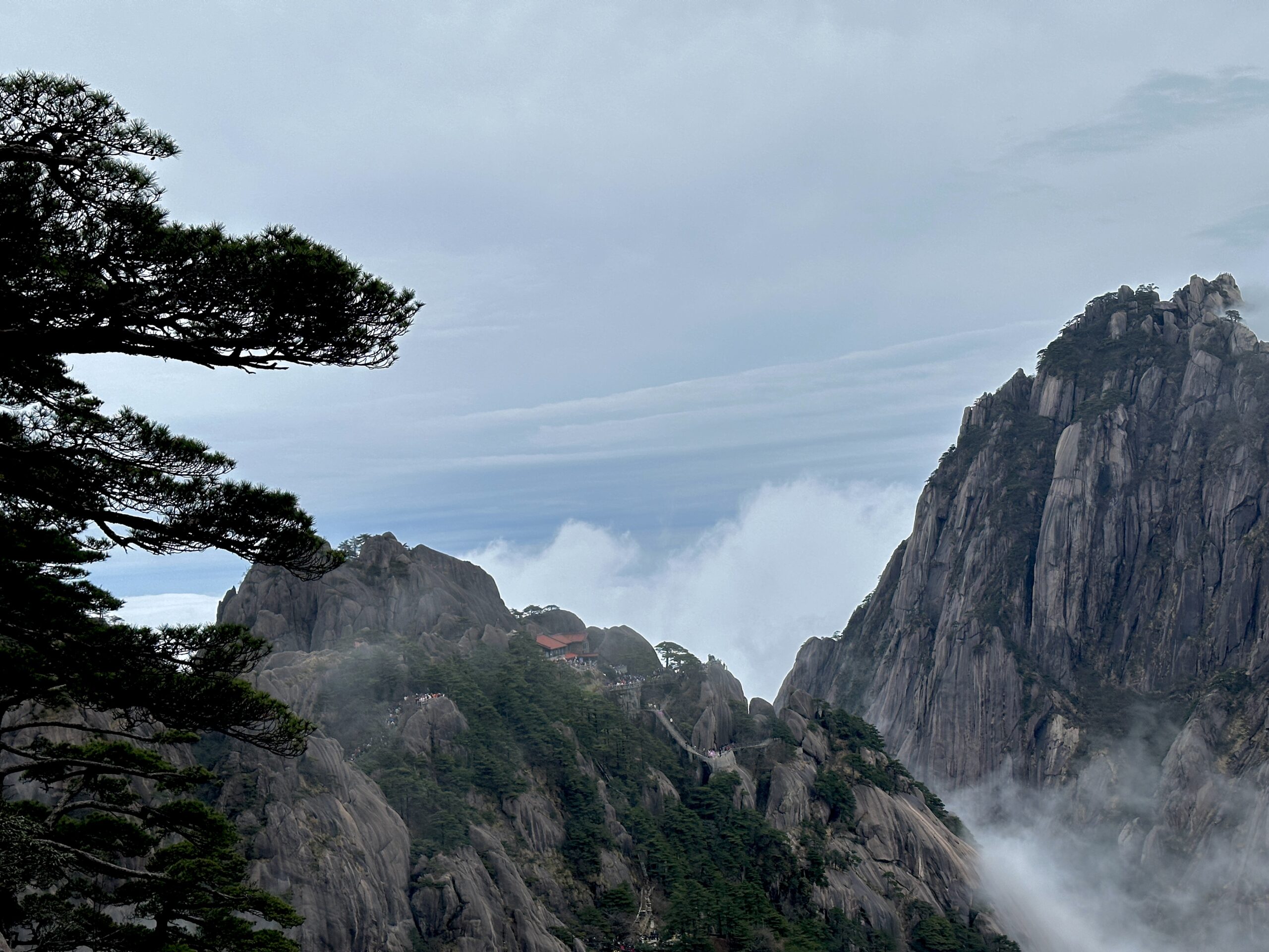 山外山雲海現